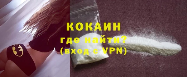 шишки Богородск