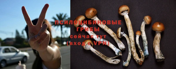 шишки Богородск