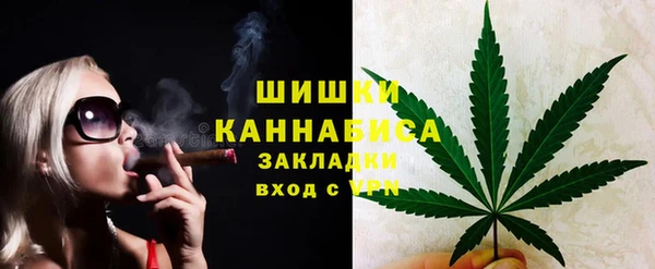 шишки Богородск