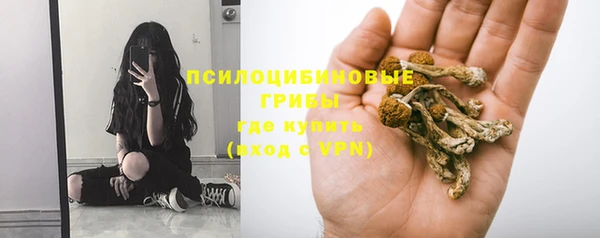 Альфа ПВП Богородицк