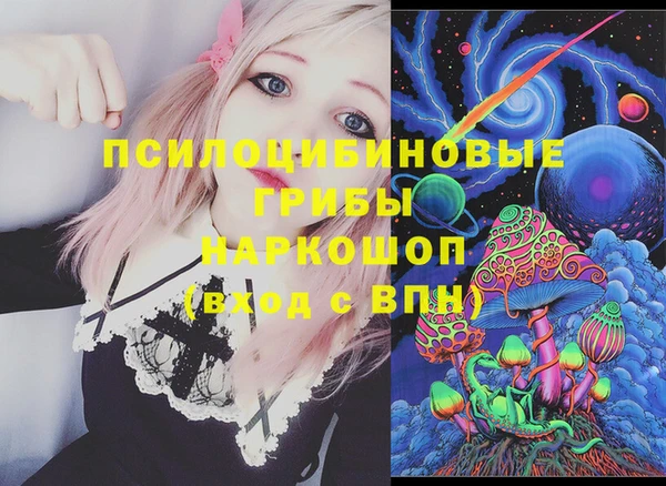 шишки Богородск