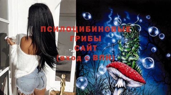 шишки Богородск