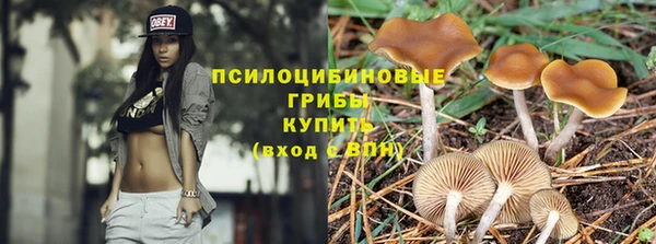 шишки Богородск
