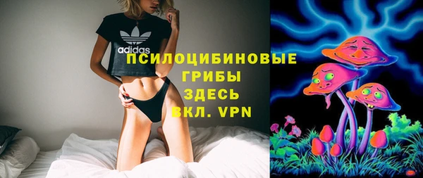 шишки Богородск